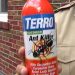 The Best Ant Killer For The Outdoors