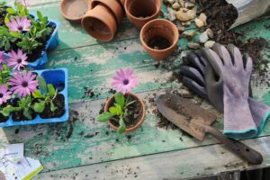 Basic Garden Tools You Need To Maintain Your Garden