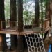 Building a Tree Fort or Tree house is The Ultimate Backyard Experience for Kids