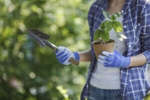Why you Need Gardening Gloves