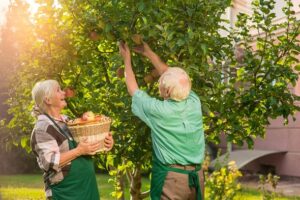 Why Growing Fruit Trees In Your Backyard Can Feed You