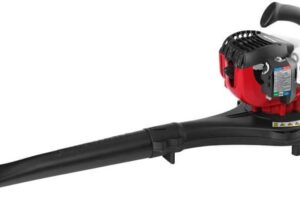 How To Choose The Best Affordable Leaf Blower For Your Garden