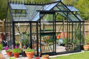 What’s The Best Glass For Your Greenhouse