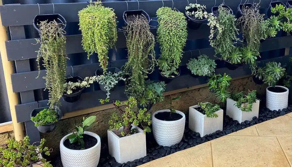 wall hangin garden containers