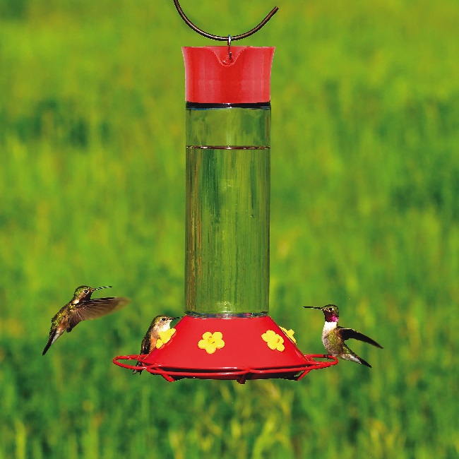 hummingbird bird feeders