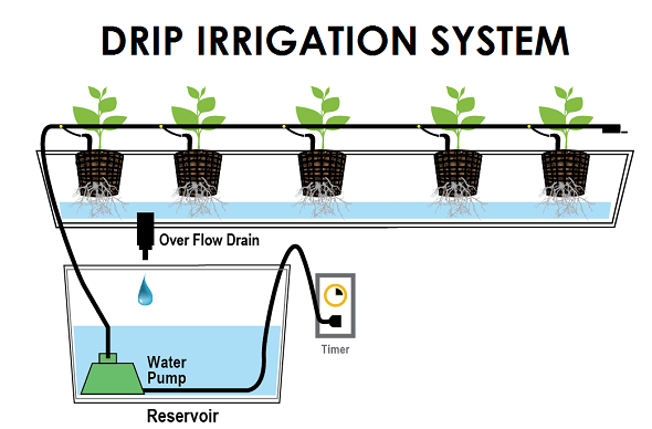 installing drip irrigation