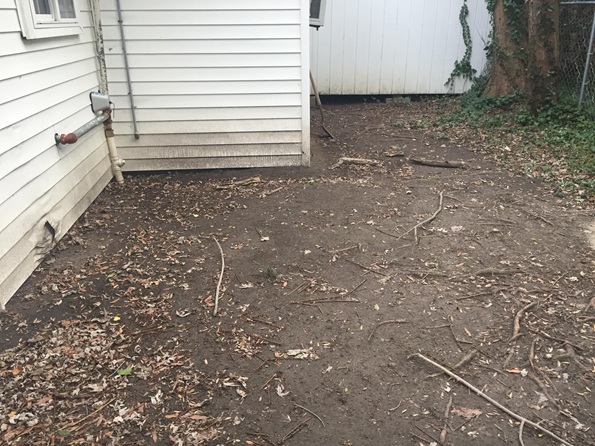 playing in a muddy yard