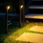 Ultimate Guide to the Best Solar Lights For Your Backyard