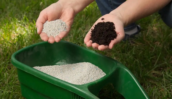 fertilizing lawn in winter