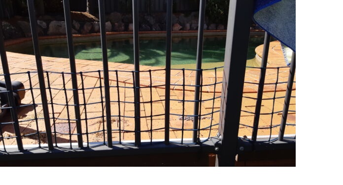 puppy fencing in the yard