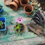 Gardening Tools: The Complete Guide to Choosing the Right Equipment for Your Backyard
