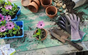 Gardening Tools: The Complete Guide to Choosing the Right Equipment for Your Backyard