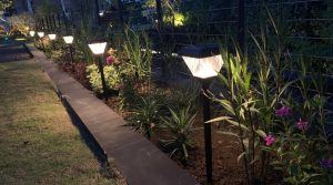Best Solar Lights for Your Backyard (2026)