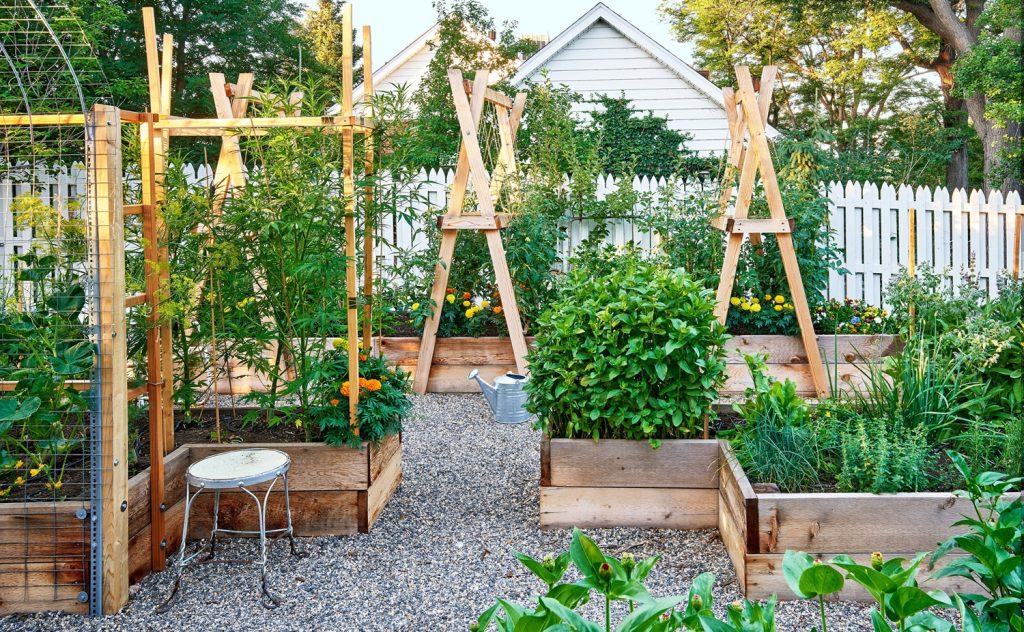 elevated gardening beds