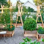 Elevated Garden Beds: Raising the Bar on Backyard Living