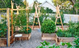 Elevated Garden Beds: Raising the Bar on Backyard Living